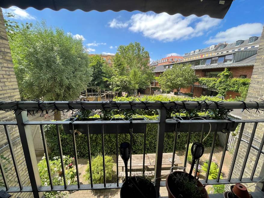 A picture containing fence, outdoor

Description automatically generated